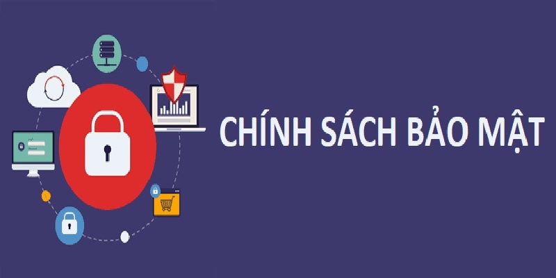 Người chơi phải tuân thủ mọi quy định chính sách